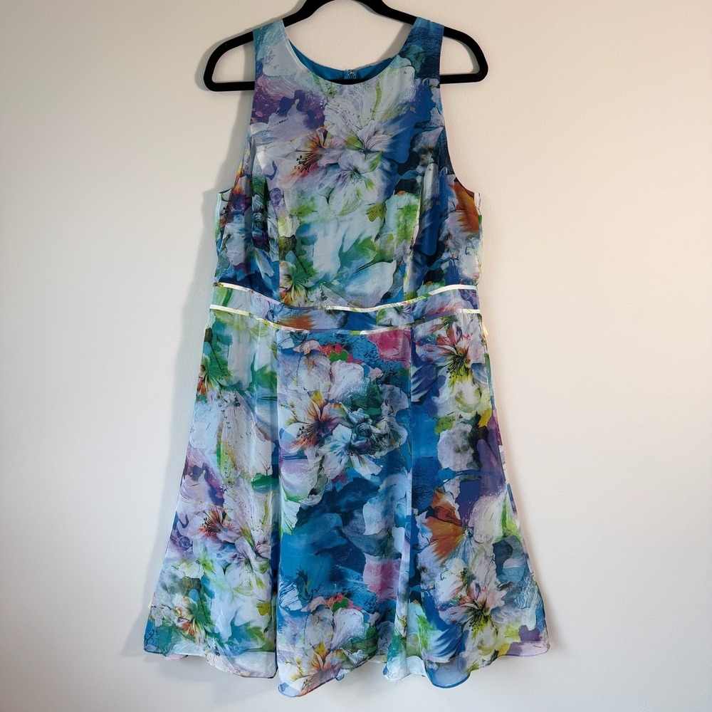 Lovely Adrianna Papell Floral Plus Size Summer Dress Chiffon Fit Flare 14W